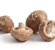 Shiitake Mushroom