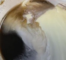 Condensed Milk Turtle Jelly