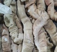 Pork Intestines
