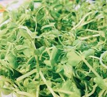 Pea Shoots