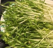 Living Hollow Bamboo Shoots
