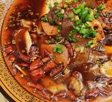 Premium Maoxuewang