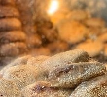 Sesame Sauce Flatbread