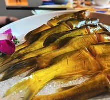 Yellow Croaker