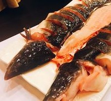 江团鱼