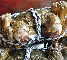 Female Crab