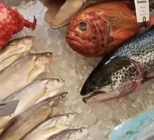 Seafood