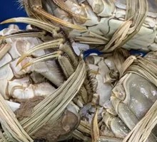 Male Crab