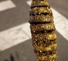 Grilled Wheat Gluten