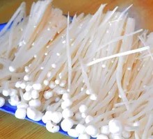 Enoki Mushroom