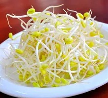 Bean sprouts