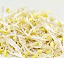 Bean sprouts