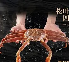 Four-Way Snow Crab Dish