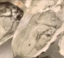 Fresh Tender Oyster
