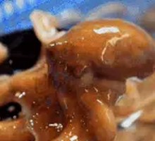 Fresh Octopus