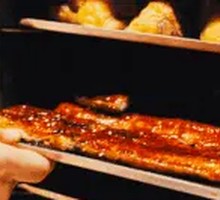 Japanese Grilled Eel