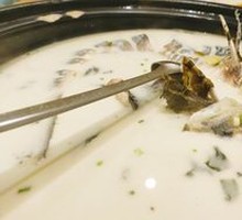 Hot Spring Boiled Fish