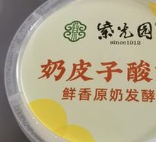Creamy Milk Yogurt
