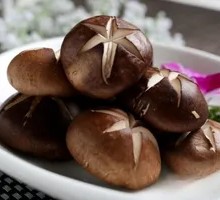 Tender Golden Needle Mushrooms