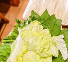 Napa cabbage