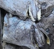 Grilled Fish Head