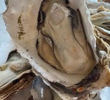 Oyster