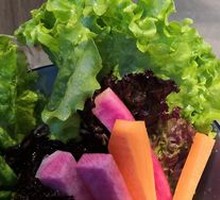 Lettuce