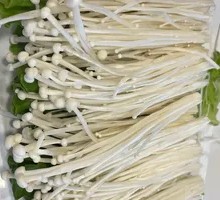Enoki Mushroom