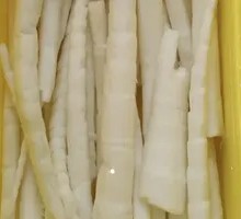 Bamboo Shoot