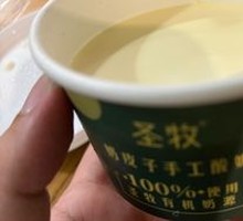 Organic Yogurt