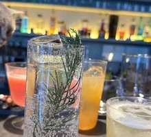 Cedar Golden Tonic
