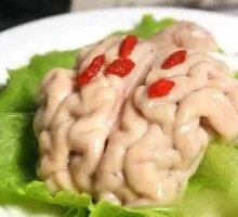Single Add Sheep Brain