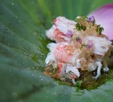 Dashi-Gelled Snow Crab