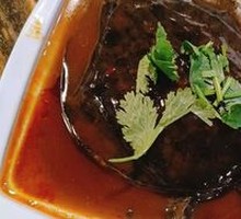 Spicy Softshell Turtle