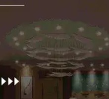 Frozen Lamb Shoulder Slices