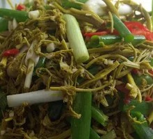 Mixed Jasmine Shoots