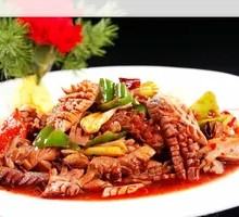 Diving Kidney Slices