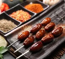 Roasted Silkworm Pupa