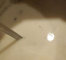 Cream of Mushroom Soup