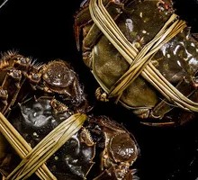 Suzheng Ge Freshwater Crab