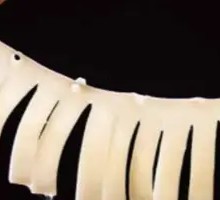 Premium Yellow Tripe Core