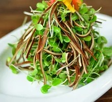 Tender香椿苗 with Tofu Strips