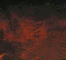 Wuchao Gongjiao Mala Flavor