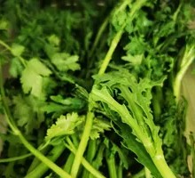 Bitter Gai Lan