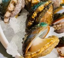 Live Abalone