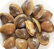 Fresh Yellow Clams