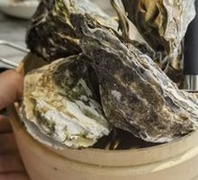 Steamed Oysters in Pressure Cooker