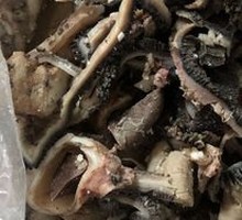 Offal Soup