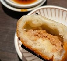 Fresh Pork Pan-Fried Dumplings