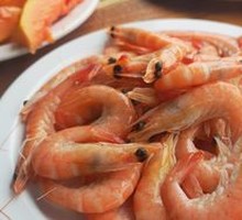 Arctic Shrimp